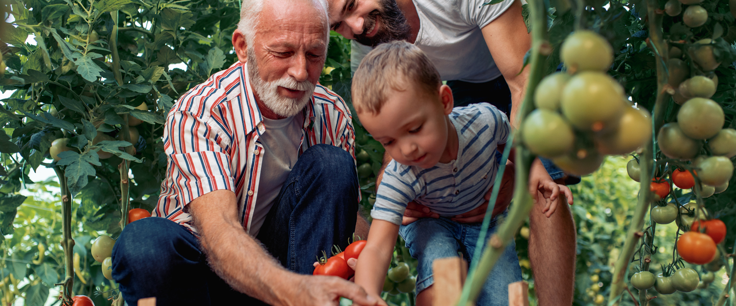 Colorado Life Insurance Coverage